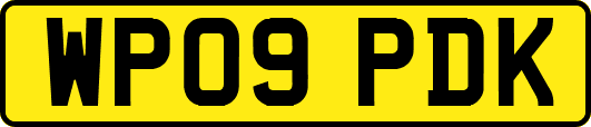 WP09PDK