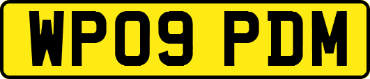 WP09PDM