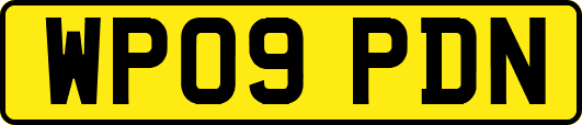 WP09PDN
