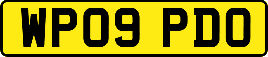 WP09PDO