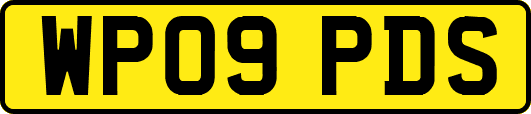 WP09PDS