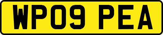 WP09PEA