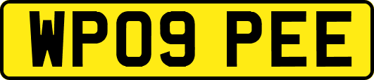 WP09PEE