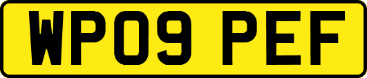 WP09PEF