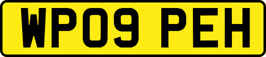 WP09PEH
