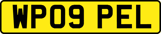 WP09PEL