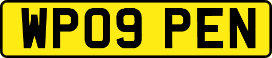 WP09PEN