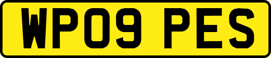 WP09PES