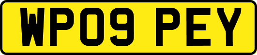 WP09PEY
