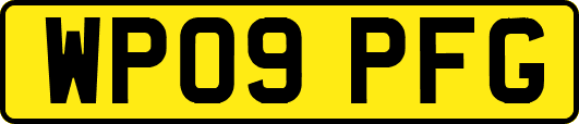 WP09PFG