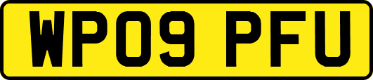 WP09PFU