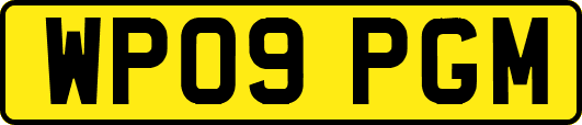 WP09PGM