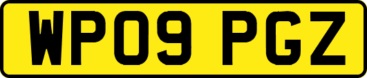 WP09PGZ