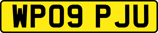 WP09PJU