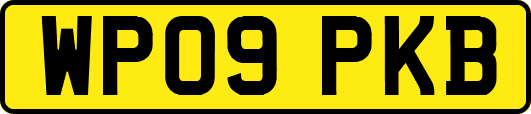 WP09PKB