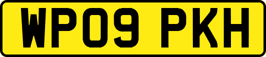 WP09PKH
