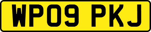 WP09PKJ