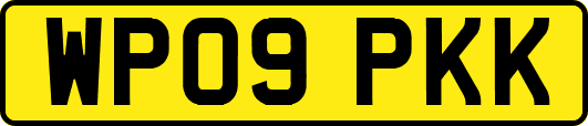 WP09PKK