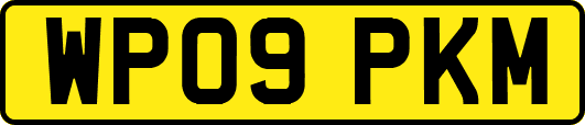 WP09PKM
