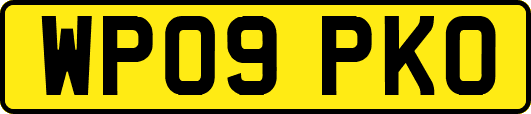 WP09PKO