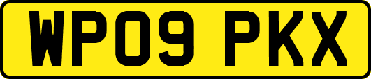 WP09PKX