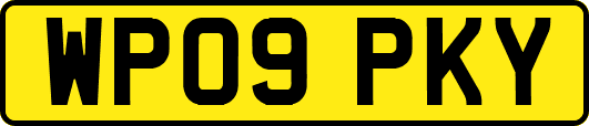 WP09PKY