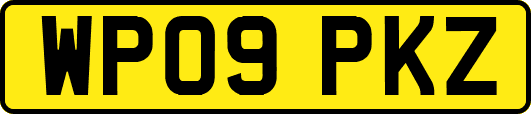 WP09PKZ