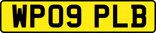 WP09PLB