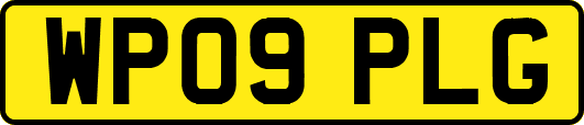WP09PLG