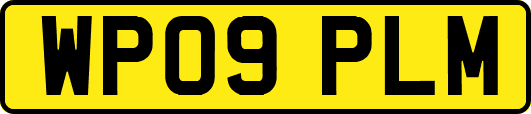 WP09PLM
