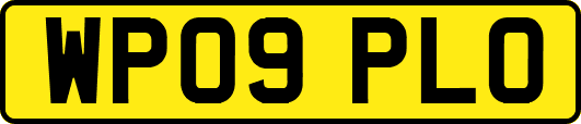 WP09PLO