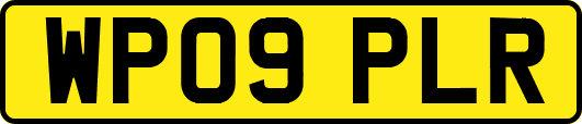 WP09PLR