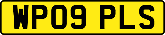 WP09PLS
