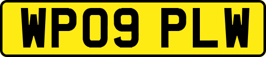 WP09PLW
