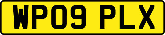 WP09PLX