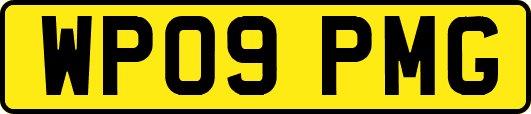 WP09PMG