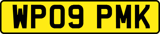 WP09PMK
