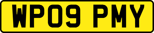 WP09PMY