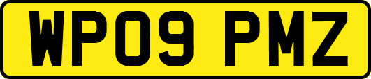 WP09PMZ