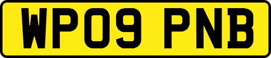 WP09PNB