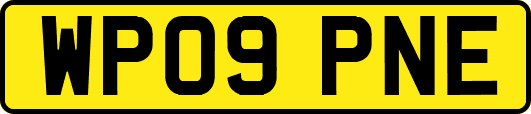 WP09PNE
