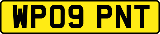WP09PNT