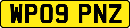 WP09PNZ