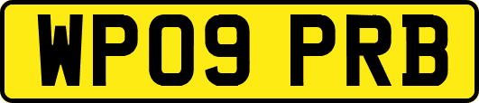 WP09PRB