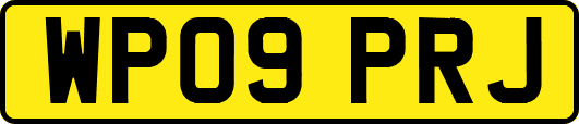 WP09PRJ