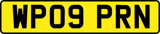 WP09PRN