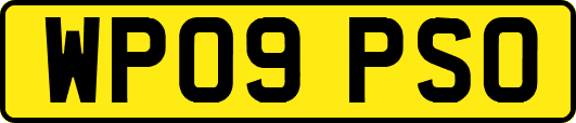 WP09PSO