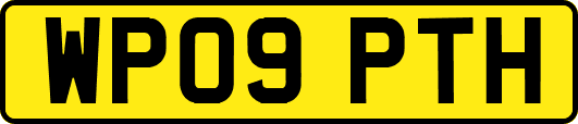 WP09PTH