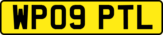WP09PTL