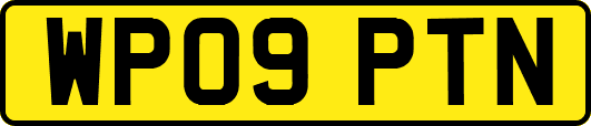 WP09PTN